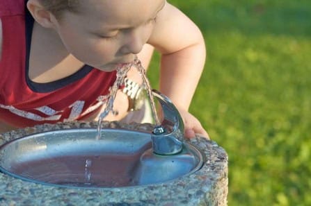Drinking Fountains and Water Access